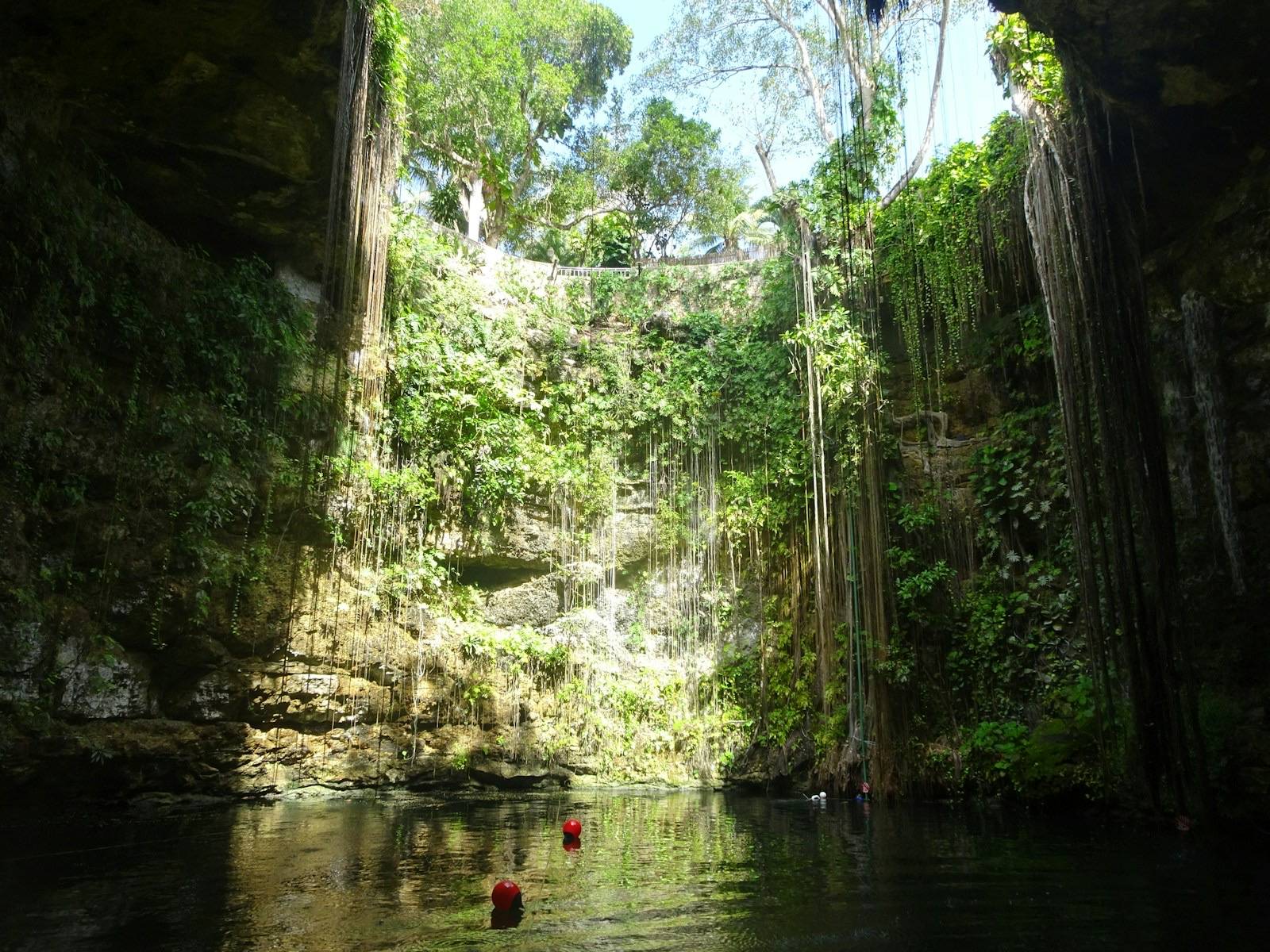 Cenote rodeado de vegetación con luz natural